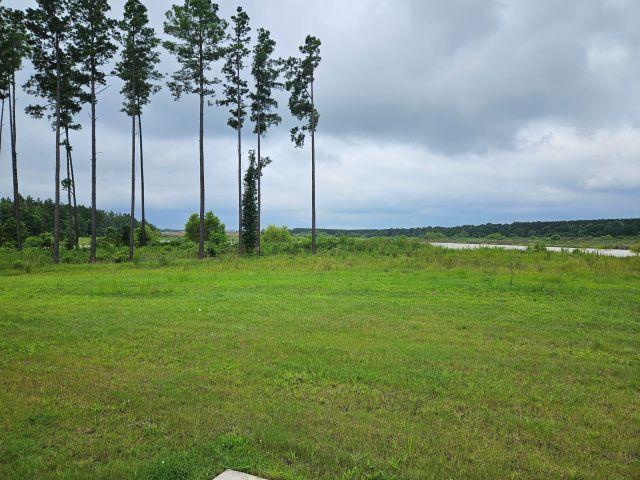 Lot 71 FO (27)